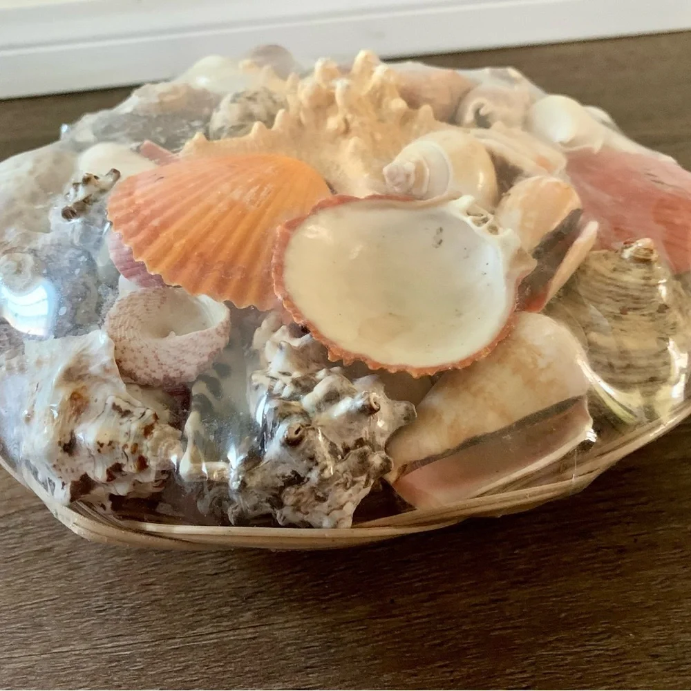 Beach Basket assorted sea Shells
